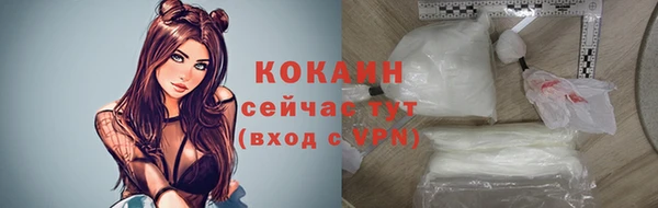 дживик Новозыбков