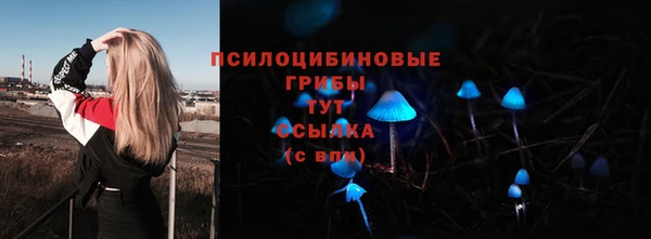 дживик Новозыбков
