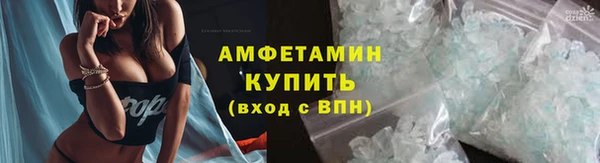дживик Новозыбков
