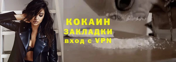 дживик Новозыбков