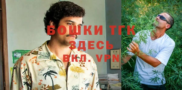 дживик Новодвинск