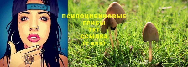 дживик Новозыбков