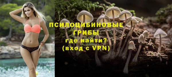дживик Новозыбков