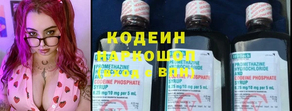 дживик Новозыбков