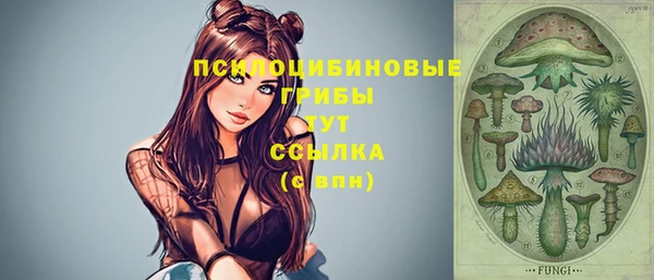 MESCALINE Новокубанск