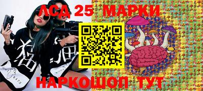 бошки Дубна