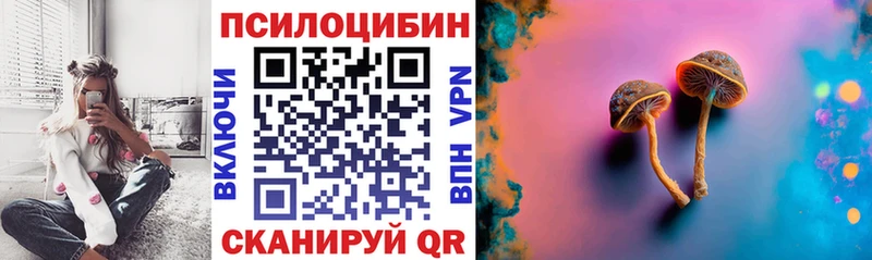 Псилоцибиновые грибы мицелий  как найти закладки  Мурманск 