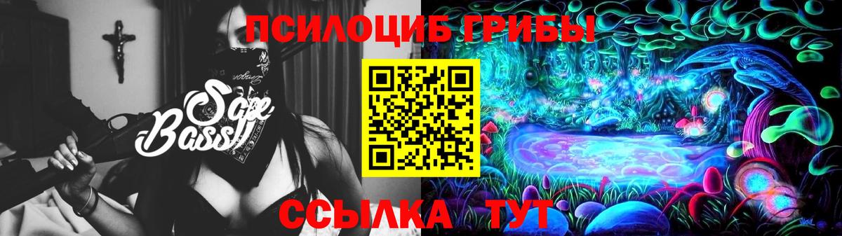 Мурманск  Галлюциногенные грибы MAGIC MUSHROOMS  Вход с VPN 